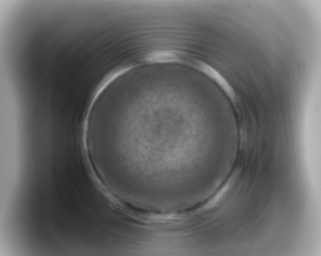 X0000099571386200805231523