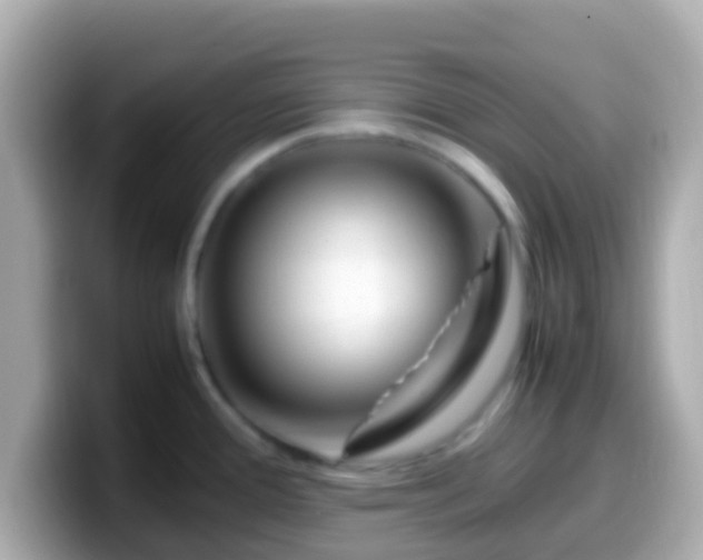 X0000099571388200805231523