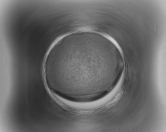 X0000099571389200805231523