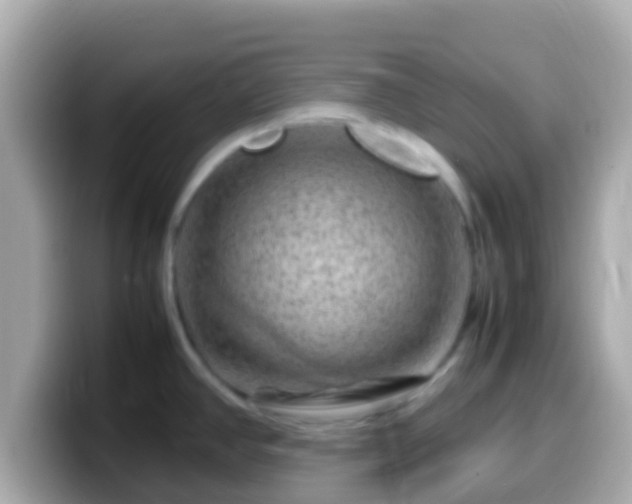 X0000099571390200805231523