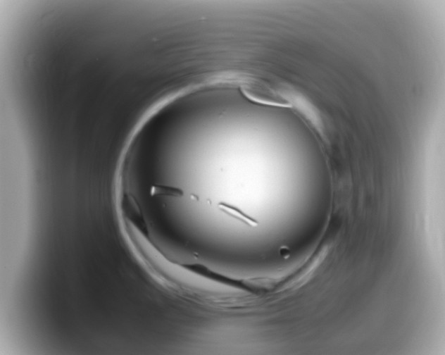 X0000099571391200805231523