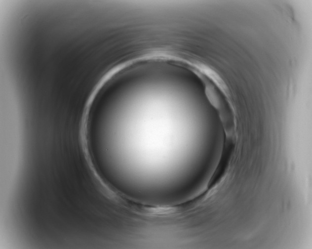 X0000099571392200805231523