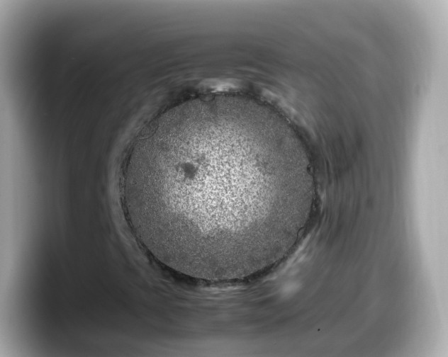 X0000099571393200805231522