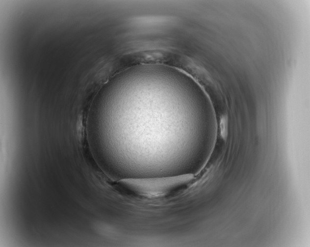 X0000099571395200805231522