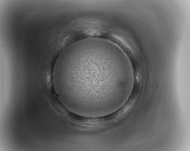 X0000099571396200805231522