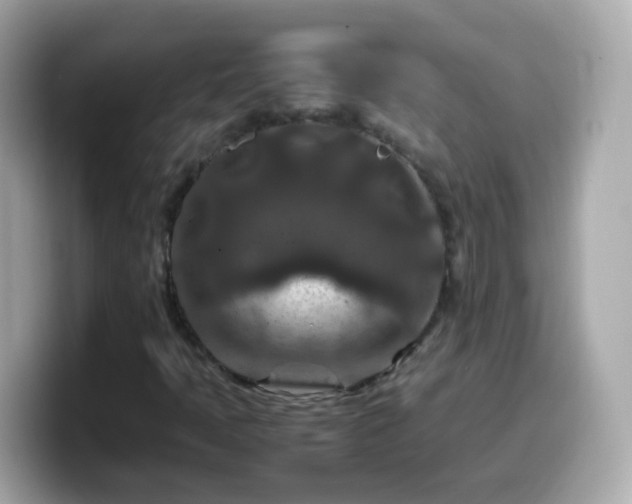 X0000099571397200805231522