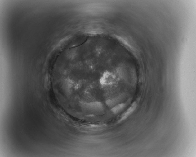 X0000099571398200805231522