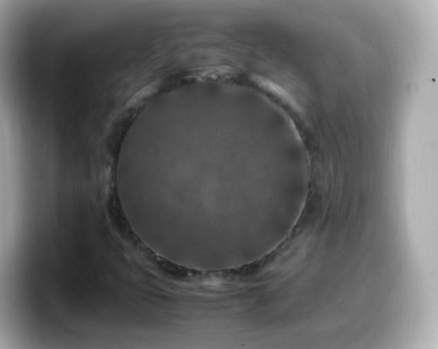 X0000099571399200805231522