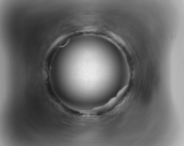 X0000099571400200805231522