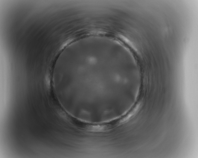 X0000099571401200805231522