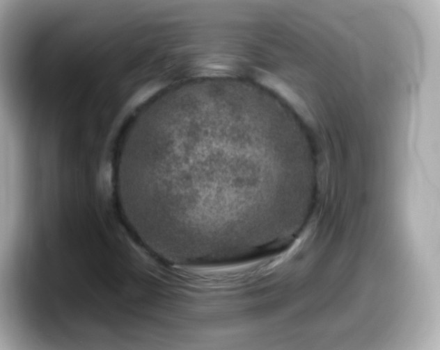 X0000099571402200805231522