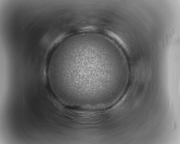 X0000099571403200805231523