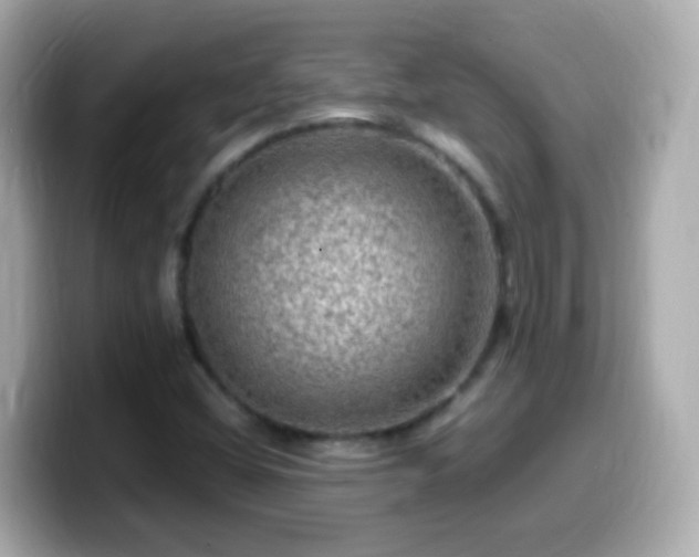 X0000099571404200805231523