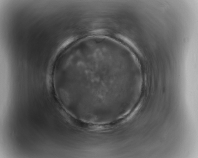 X0000099571405200805231523