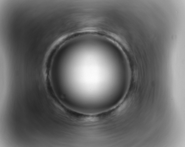 X0000099571406200805231523