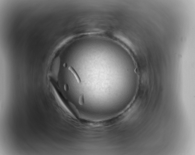 X0000099571407200805231523