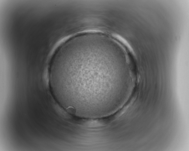 X0000099571408200805231523