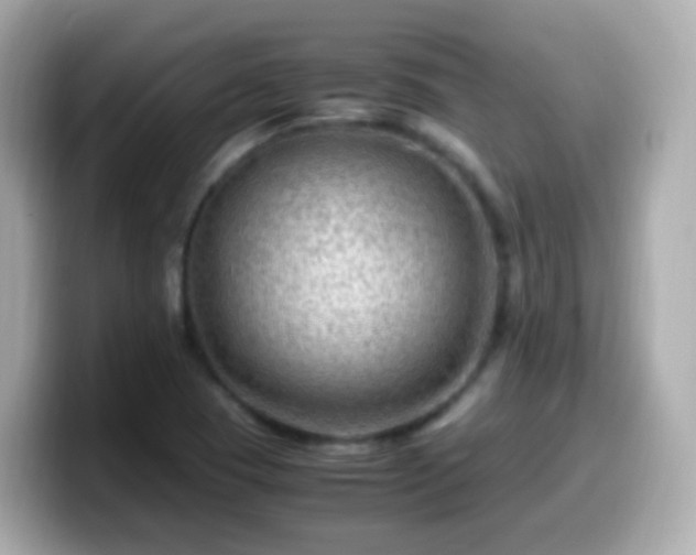 X0000099571409200805231523