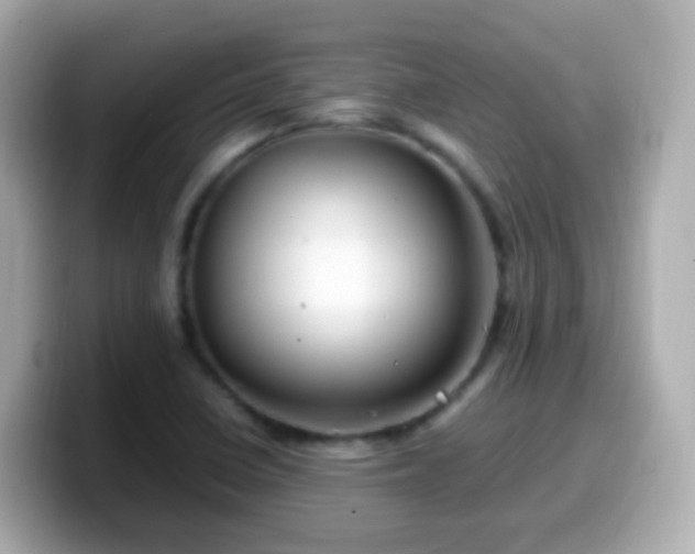 X0000099571410200805231523