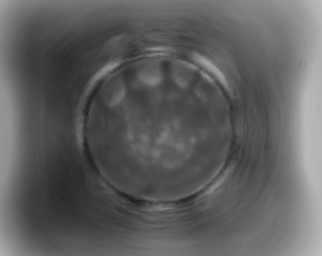 X0000099571411200805231523