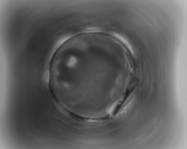 X0000099571413200805231523