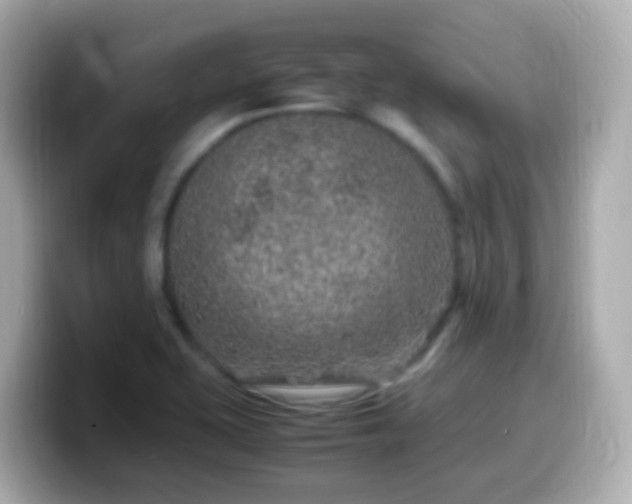 X0000099571415200805231523