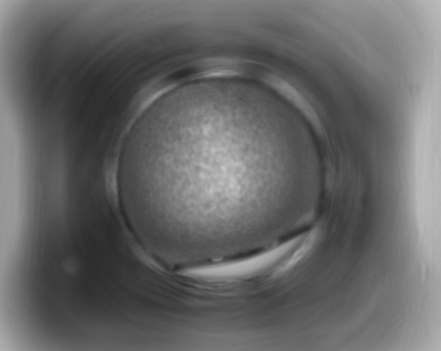 X0000099571417200805231523