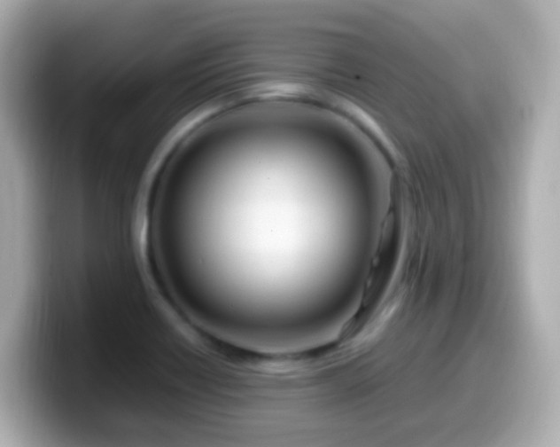 X0000099571418200805231523