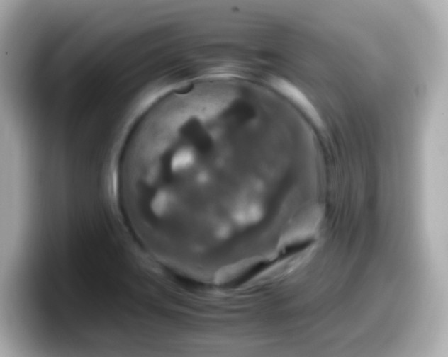 X0000099571419200805231523