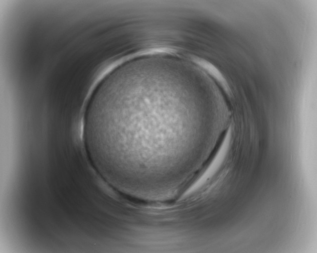 X0000099571420200805231523