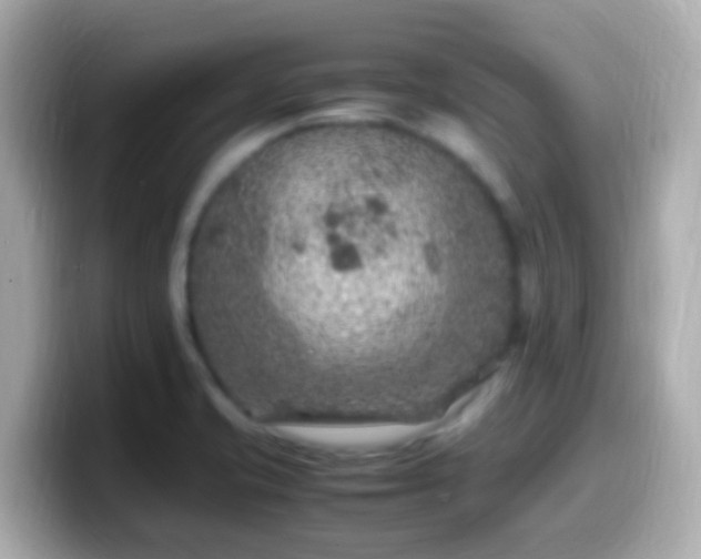 X0000099571421200805231523