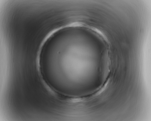 X0000099571422200805231523