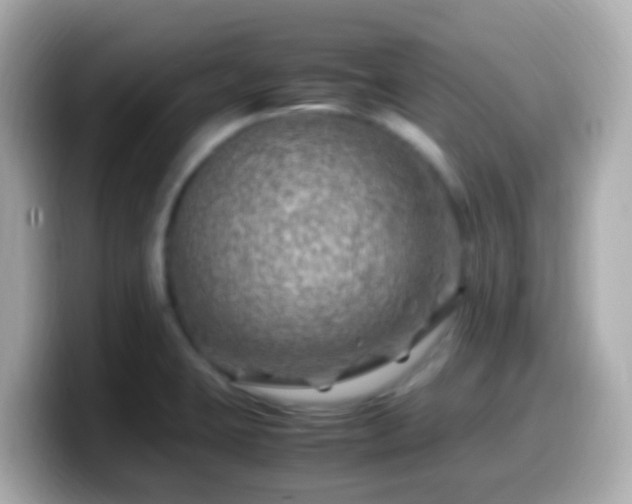 X0000099571423200805231523