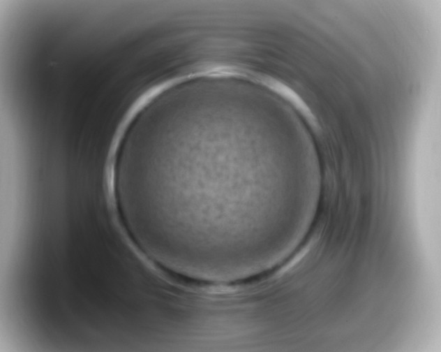 X0000099571424200805231523