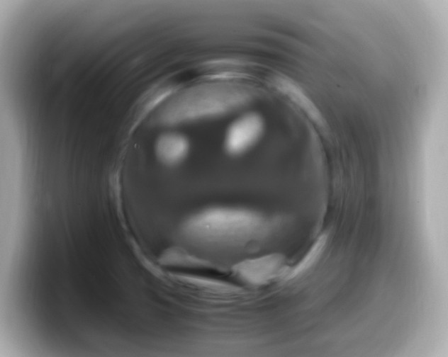 X0000099571425200805231523