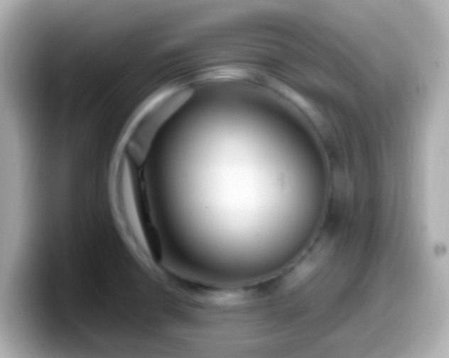 X0000099571426200805231523