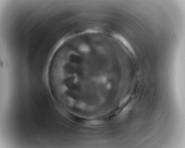 X0000099571427200805231523