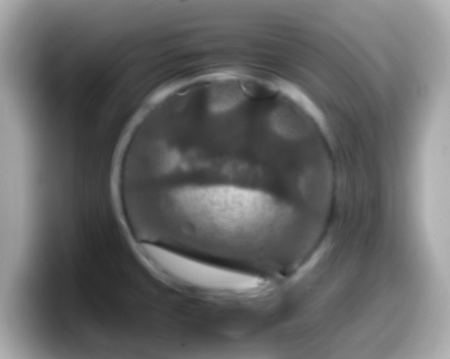 X0000099571429200805231523