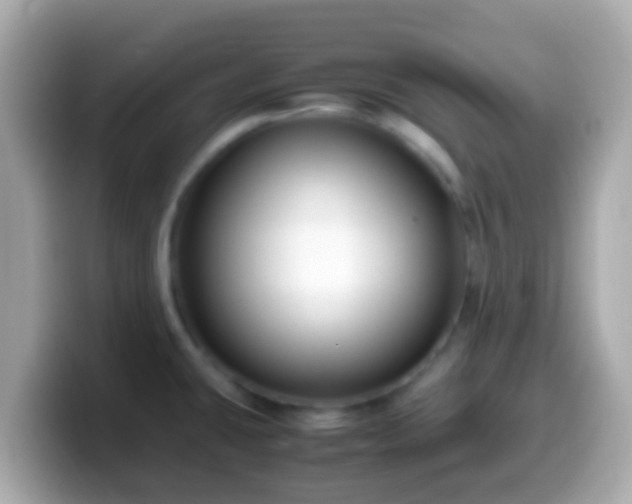 X0000099571431200805231523