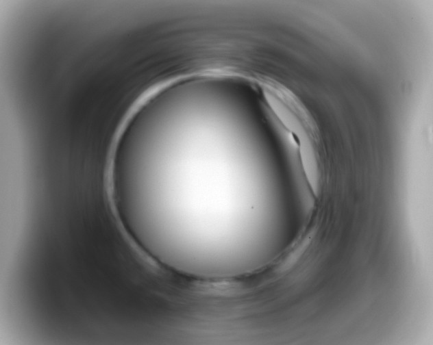 X0000099571432200805231523