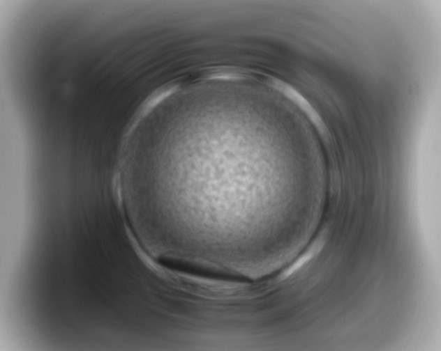 X0000099571433200805231523