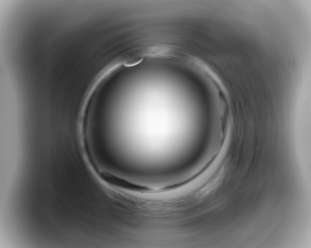 X0000099571434200805231523