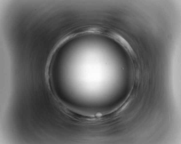 X0000099571435200805231523