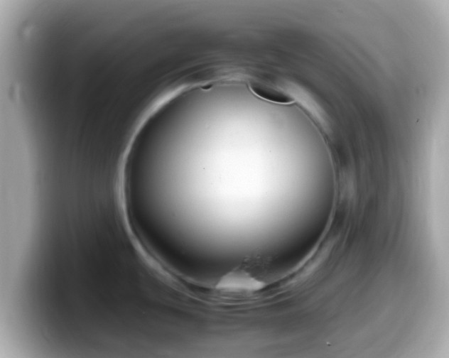 X0000099571439200805231523