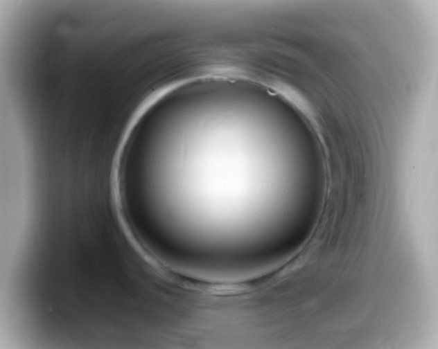 X0000099571440200805231523