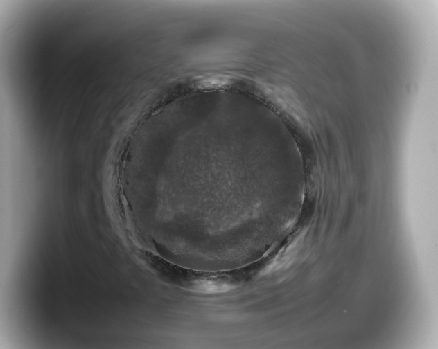 X0000099571441200805231522