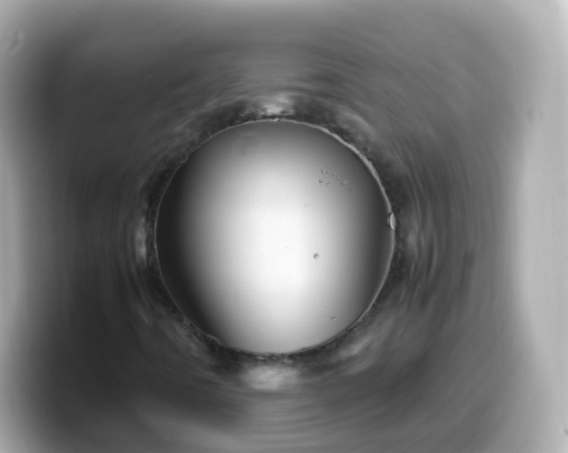 X0000099571442200805231522