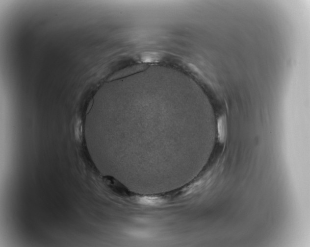 X0000099571443200805231522