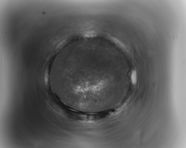 X0000099571444200805231522