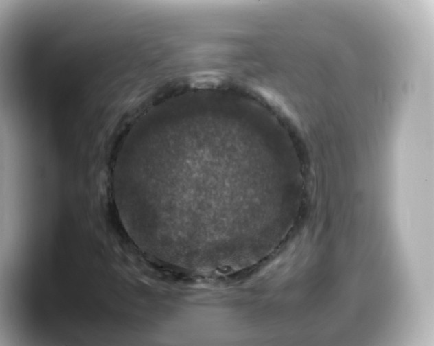 X0000099571445200805231522